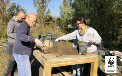 Giornata di Volontariato “SUPERBOTANICA”. Nuove piantine a dimora nel vivaio dell’Oasi.