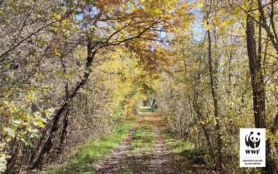 Giornata di Volontariato “SVERNAMENTO”. Un’immersione nell’autunno dell’Oasi.